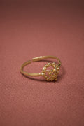 Anello Babel